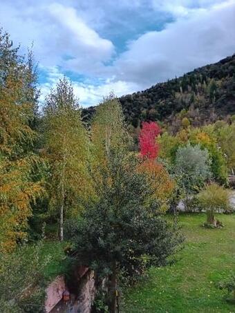 Hotel Picos De Europa Suites And Rooms