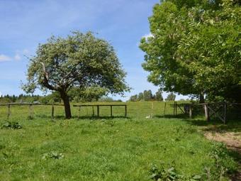 Cozy Holiday Home In La Rouge Mini�re With Meadow View