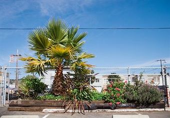 Town Motel