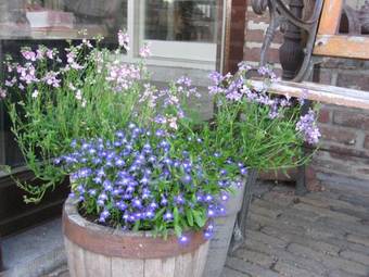 B&B Huize Bex