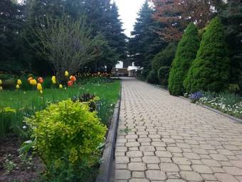 Hotel Jedlina
