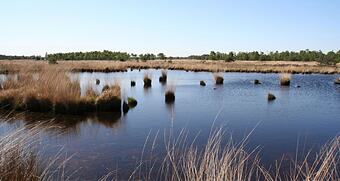 De Berk Hotel