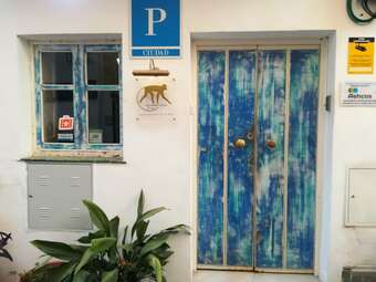 Pension The Monkey Room