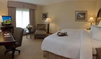 Hotel Hampton Inn & Suites Wellington
