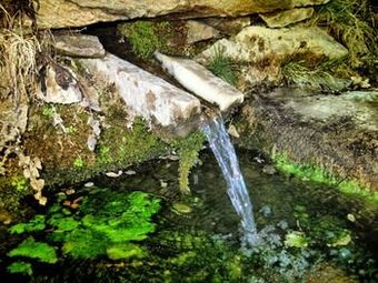 Agroturismo Reul Alto Cortijos Rurales