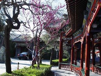 Hotel Bamboo Garden
