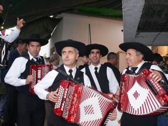 Casa Mimosa