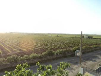 B&B La Vigna