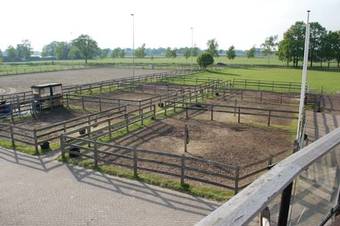 Human & Horse Hotel