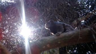 Hostal Sallyport Guest House