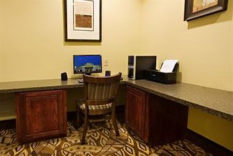 Hotel Holiday Inn Express And Suites Snyder
