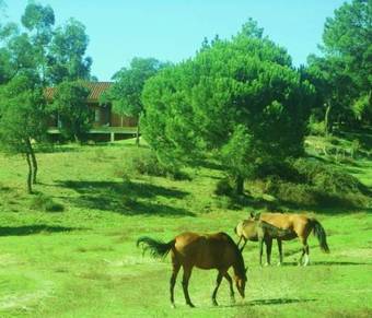 Agroturismo Coudelaria Vale Pau