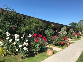 Riva's Club Hotel