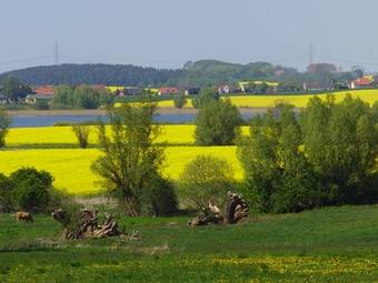 Landhotel Spornitz