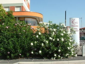 Hotel Toscana