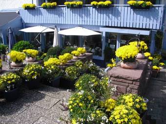 Hotel Sonnenhof