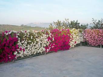 Bed & Breakfast Cascina La Corte
