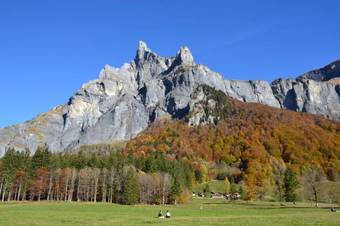 Chalet Narcisse