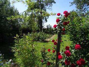 Bed & Breakfast La Fontenelle Chambres D'h�tes