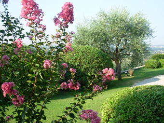 Villa Archi B&B