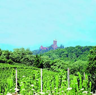 Club Belambra Les Cigognes