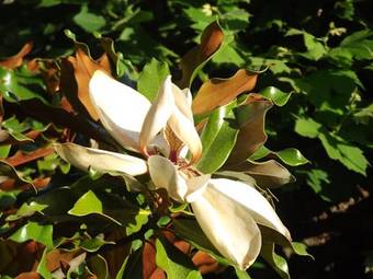 Ver fotos