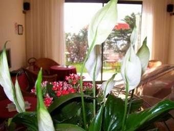 Hotel Oasi Beach