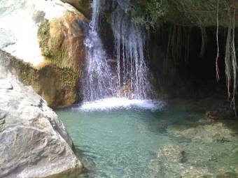 Ver fotos