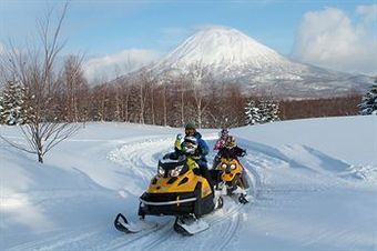 Hotel The Green Leaf Niseko Village
