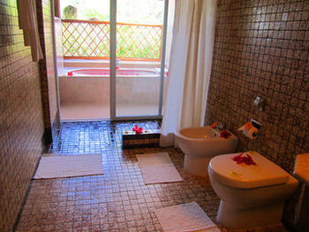 Hotel Badian Island Wellness Resort