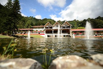 Hotel Bambito Resort