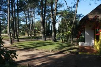 Ver fotos