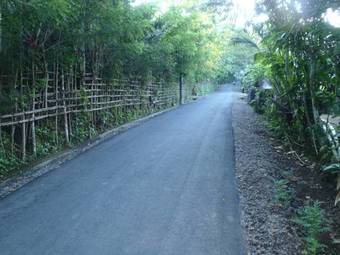 Salacca Inn