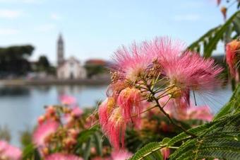 Apartment Pasman 8220a