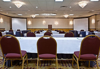 Hotel Holiday Inn Chicago O'hare Area
