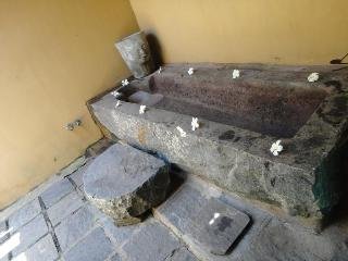 Ver fotos