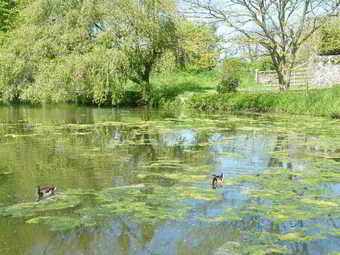 La Ferme Des Mares, The Originals Relais