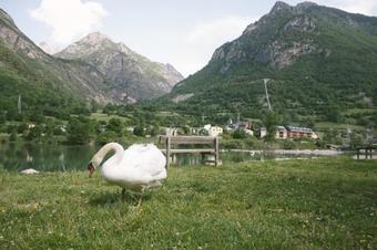 Apartamentos Grist