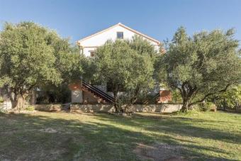 Apartments Branko