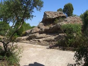 Apartamento Domus Oriens