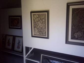 Ver fotos