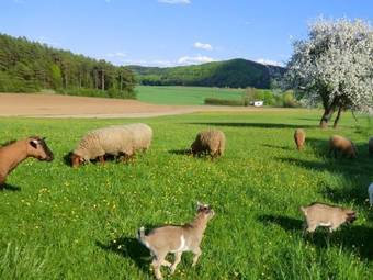 Apartamento Ferienhof Fuchs