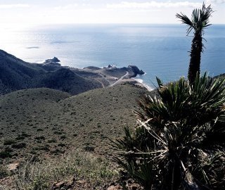 Hotel Blanca Brisa