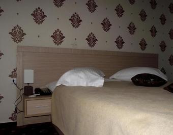 Hotel Dambovita