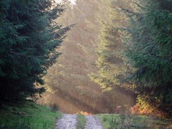 Diamonds Laggan