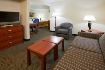 Hotel Holiday Inn Express & Suites Empire Mall