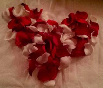 B&B Da Vi.v�