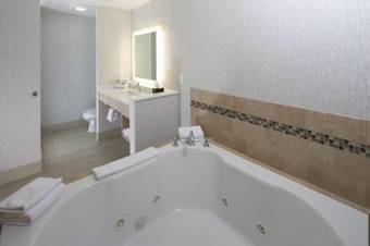 Hotel Holiday Inn Express Rochester Hills