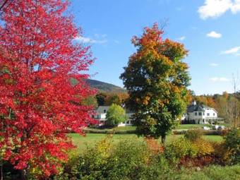Hotel Snowflake Inn