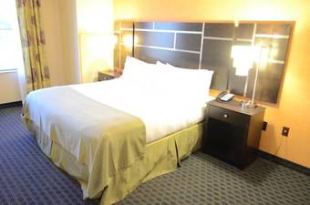 Hotel Holiday Inn Channelview